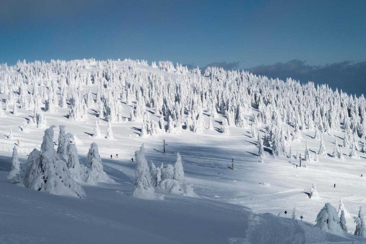 Kostovac Boutique Homes - House 1 Kopaonik Dış mekan fotoğraf