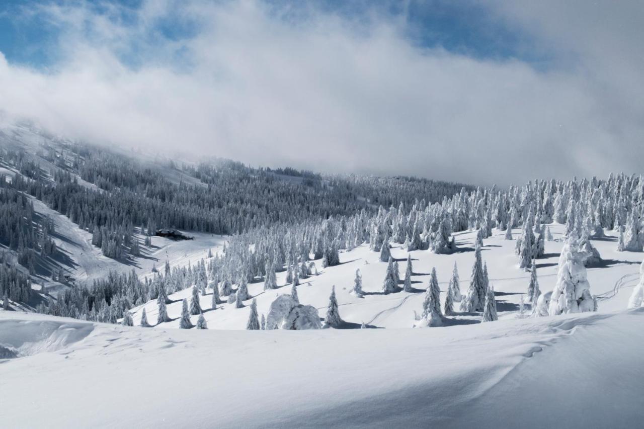 Kostovac Boutique Homes - House 1 Kopaonik Dış mekan fotoğraf